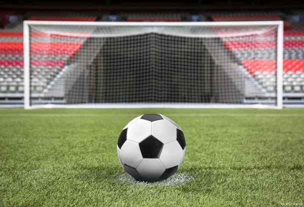 体育爱好者观赛场景